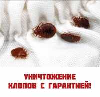 Дезинфекция от насекомых! город Павлодар! Гарантия! Цены от 10000тенге