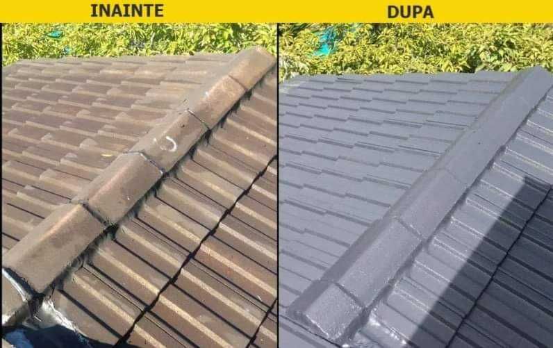Vopsitor la tabla pe acoperis la casa, blocuri si alte suprafete