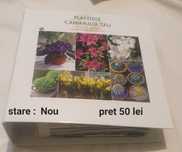 Carte : Plantele Caminului Tau