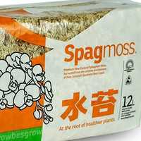Spagmoss - новозеландский мох сфагнум.