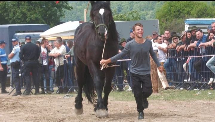 Cal de vânzare de 5 ani