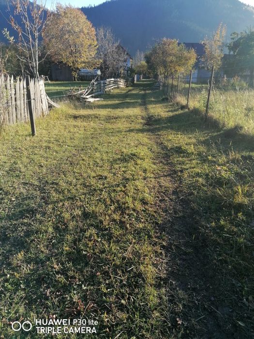 Teren de Vânzare in Sadova