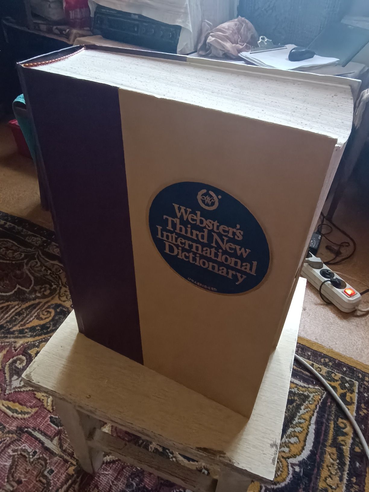 Webster's Third New Internat Dictionary
