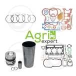 Set Motor Claas / Renault Seria 100 / 1000 / 300 / 700 / Ares / Arion
