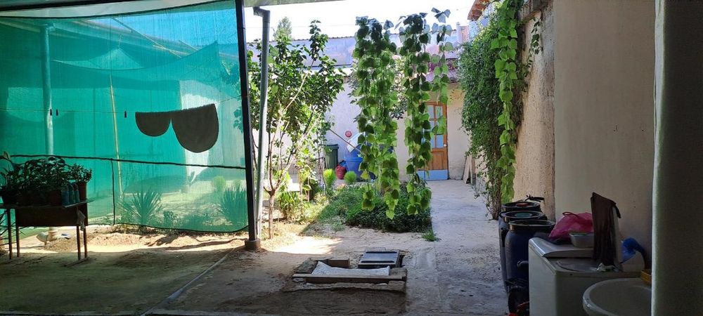 Xovli sotiladi 80000