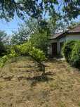 Casă în sat Sinoe + teren 3320m