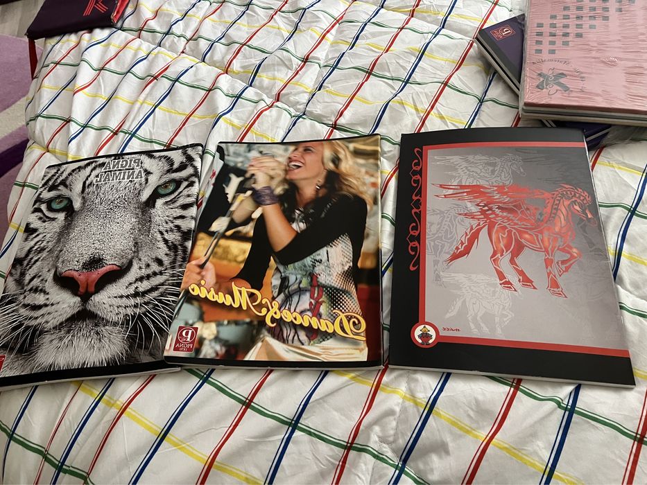 Caiete matematica si dictando A4 si A5 mari, mici- 48,60 si 80 de file