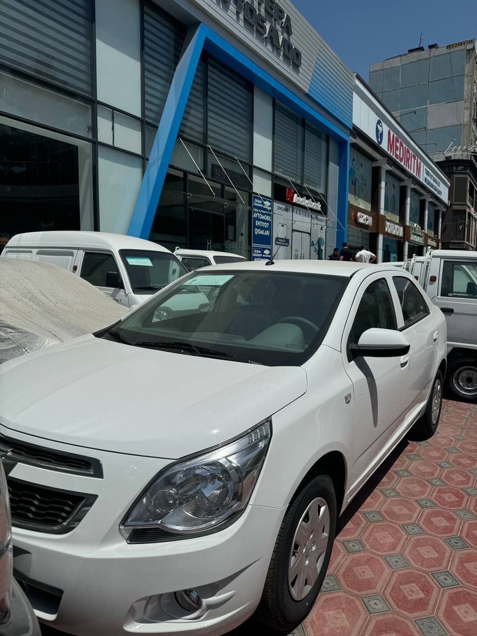 Cobalt GX-OPTIMA kalpakli