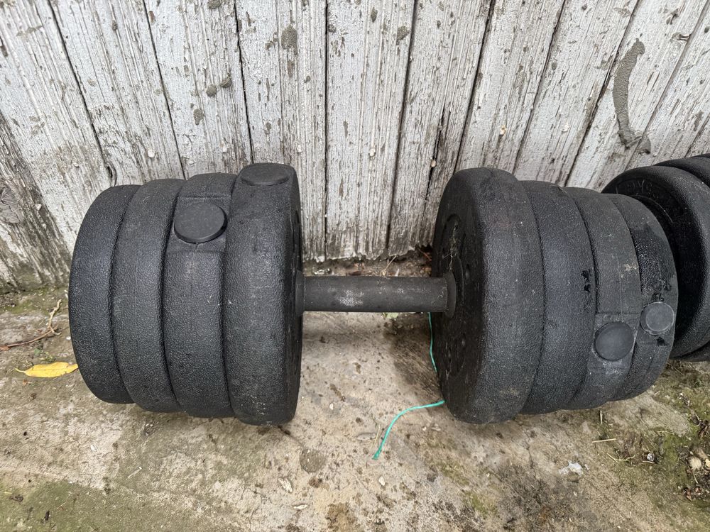 Gantere 20 kg ptr sala