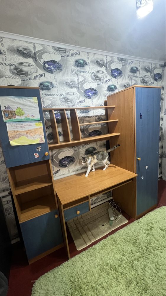 Компьютерный  стол со шкафом