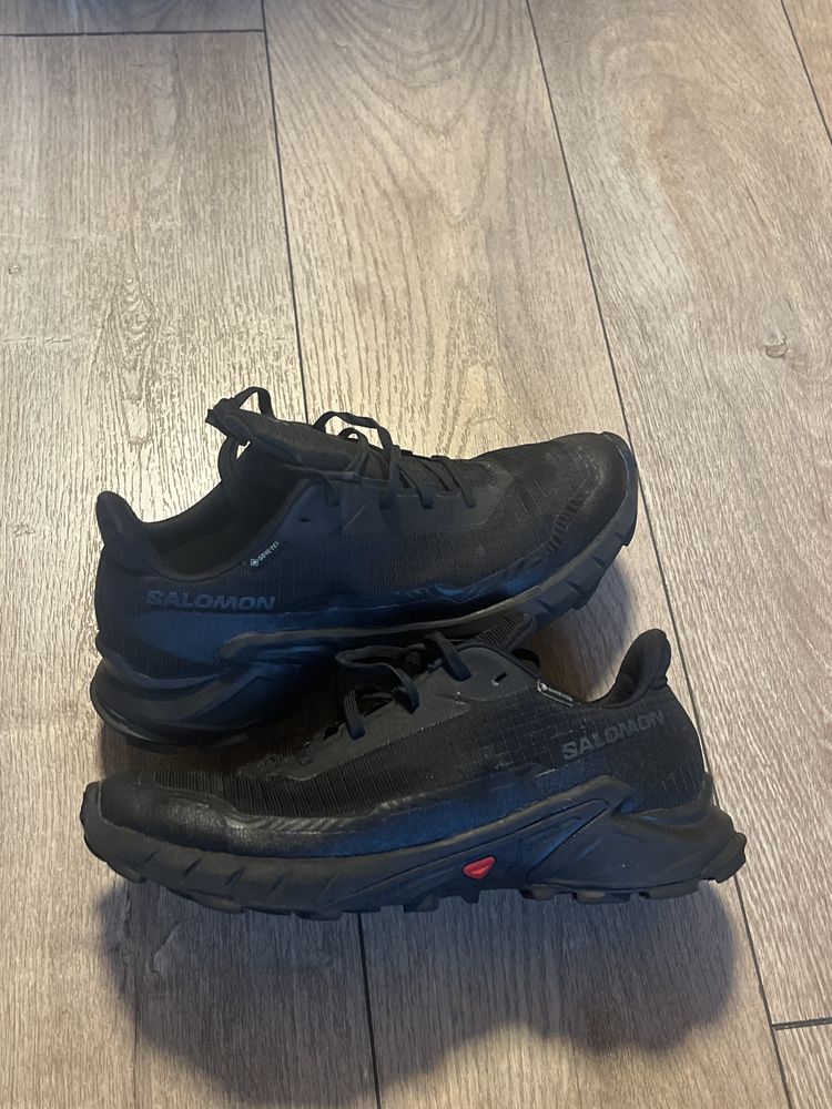 SALOMON : Alpha Cross 5 - Gore-Tex 43 1/3 размер / Оригинал