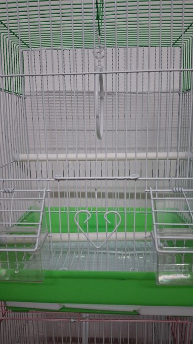 Colivii ,diferite culori