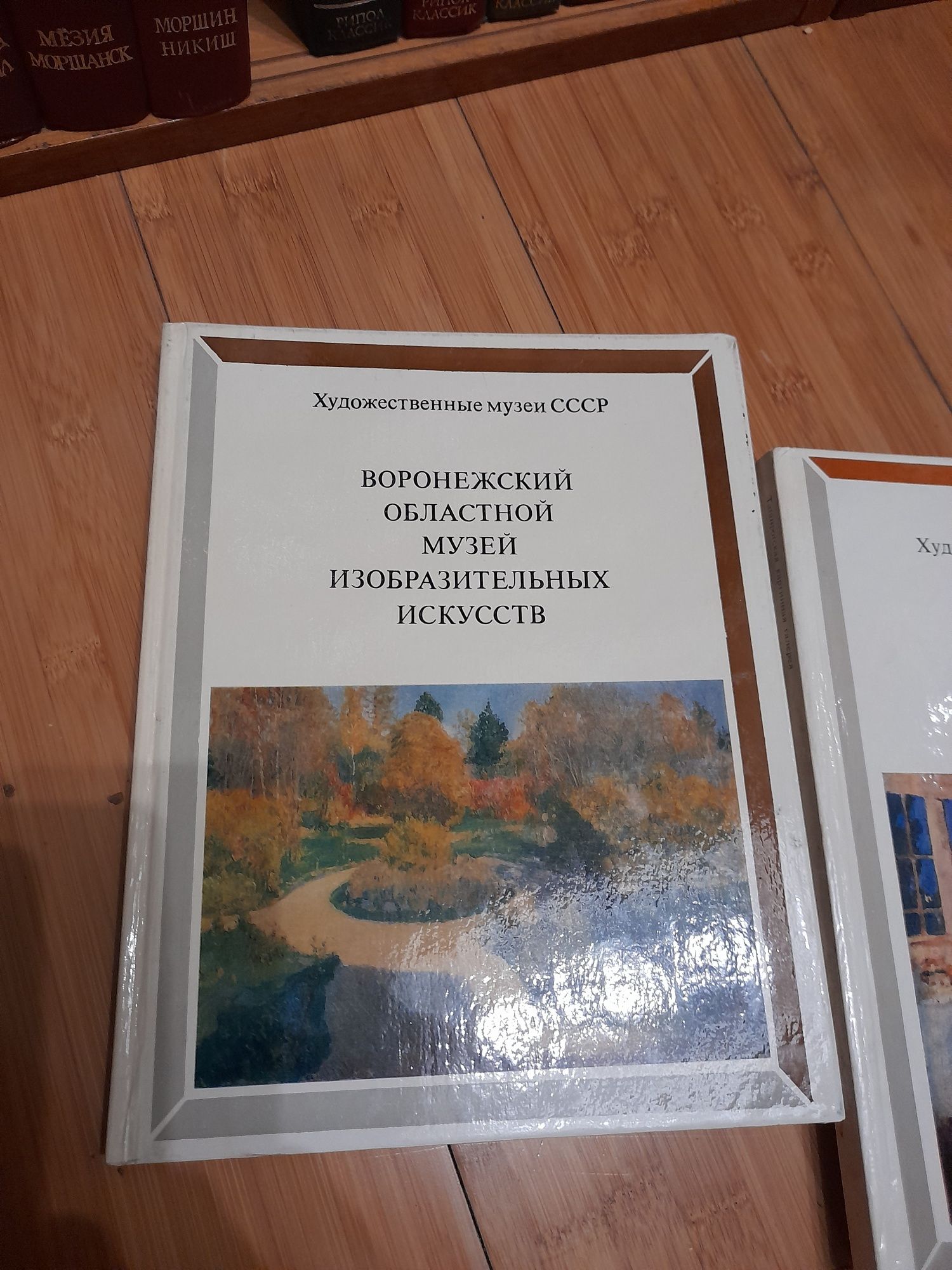 Книги по живописи