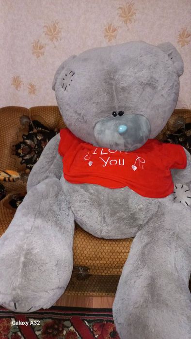 Mishka teddy yangi