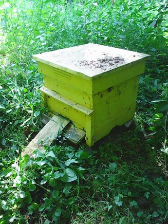 Пчелни кошери- употребявани, магазинни корпуси, пчелни пити и рамки