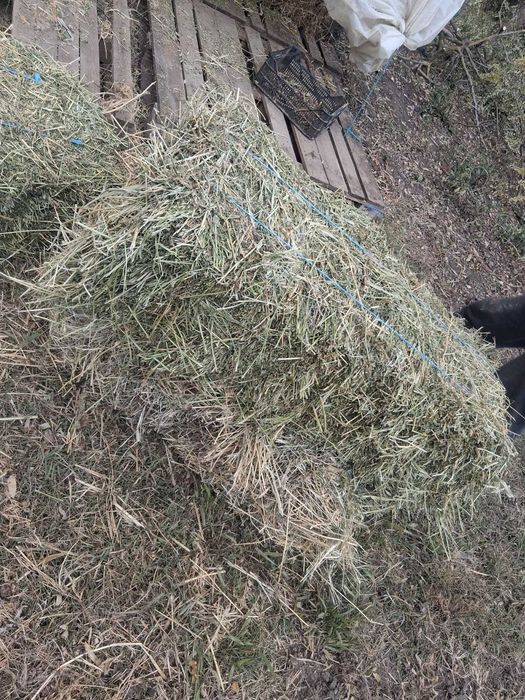 Vand baloti de lucerna