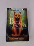 Pisicile razboinice
