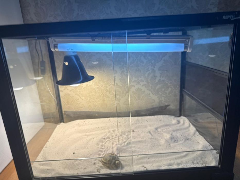 Террариум для ящерич и черепах