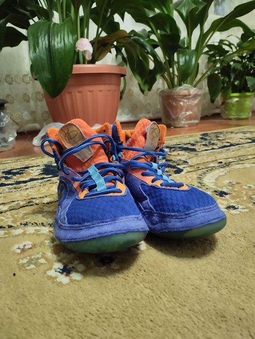 Борцовка Rudis Alpha 2.0
