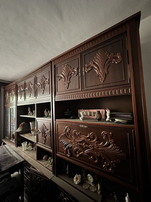 Biblioteca Veche de Epoca-Vintage Diana-Florinta - Perioada Comunista