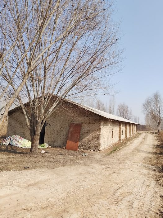 Урдак, куй,куён, бокиш учун