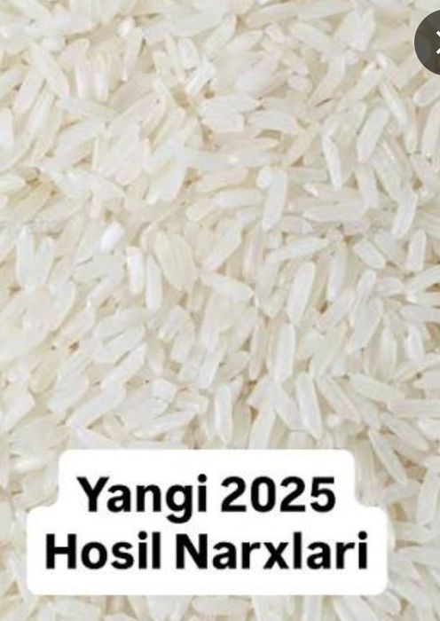 Лазер гуруч, Lazer guruch