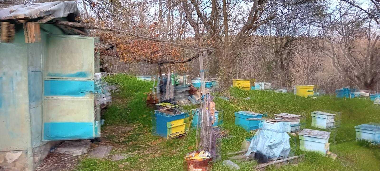Пчелин 9379-0165 в село Владимирово