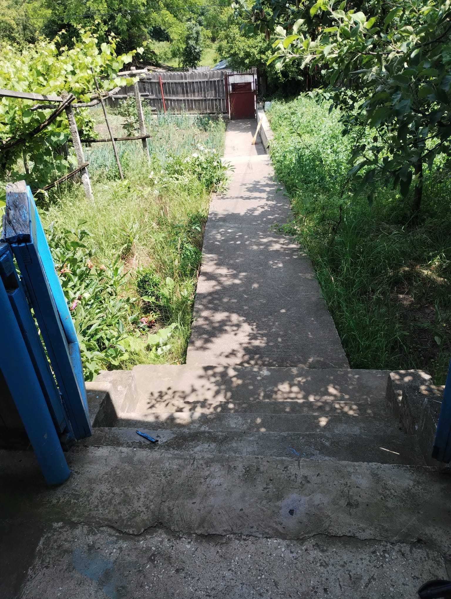 Vând casă la tara cu vie, la 30km de Barlad