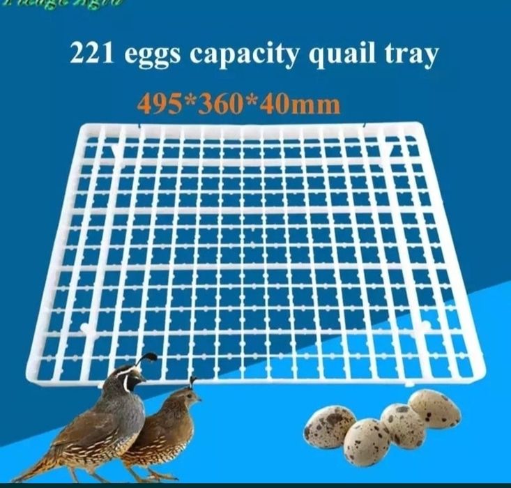 Лоток предворительный для яйц в инкубтор ячейки корзина для инкубаций