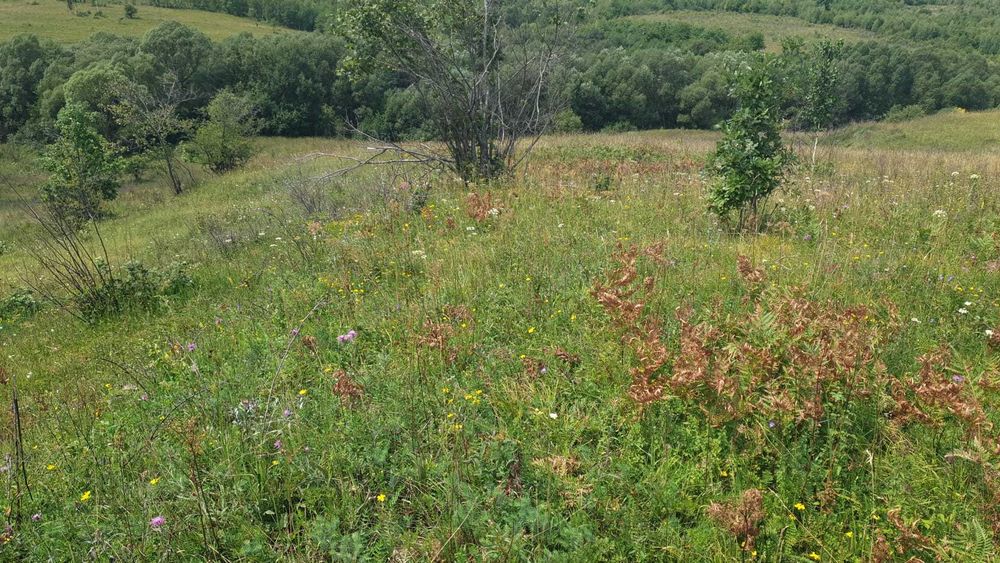 PF vand teren SALICEA, IARA extravilan,parcele de 3-500la5000mp CABANA