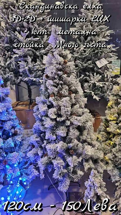 Коледни елхи, няколко варианта