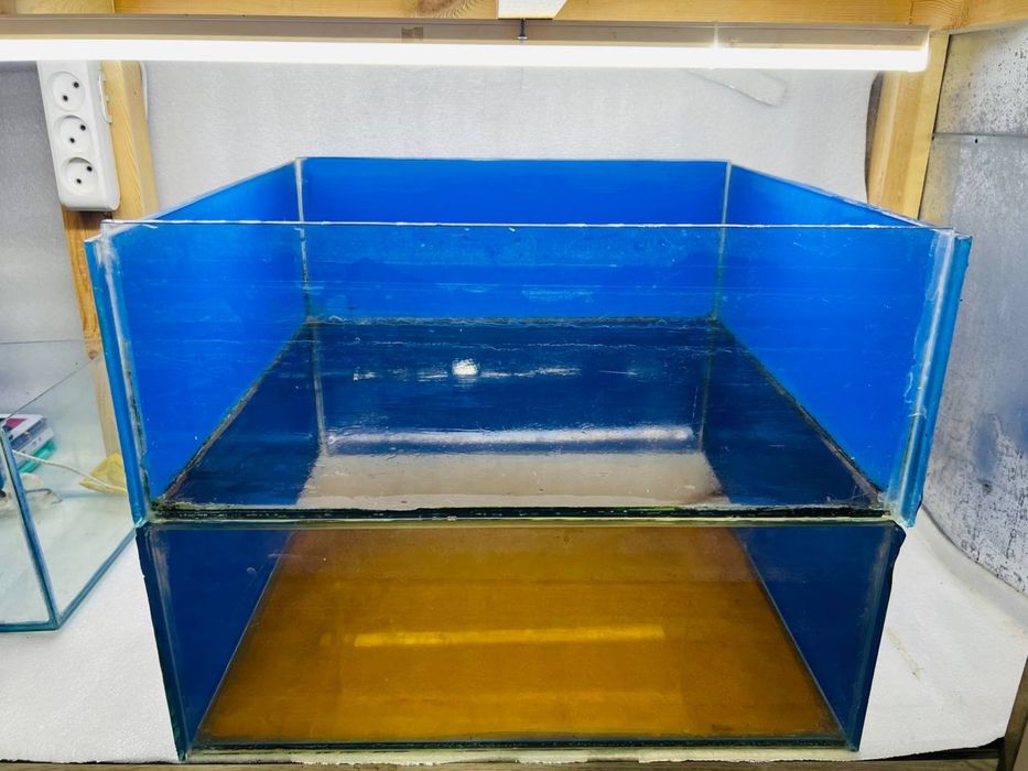 5 та Аквариум хаммаси биттада