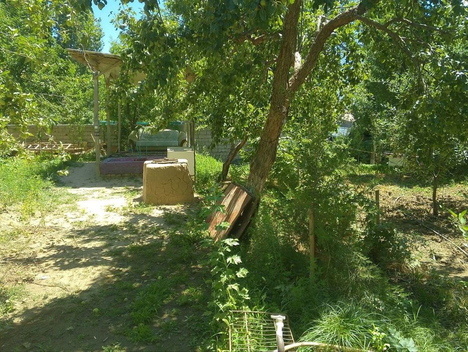 Йер сотилади 6 сток чорвок срочний