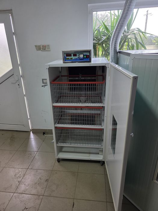 incubator oua strut