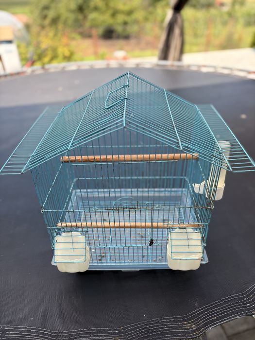 Accesorii animale…