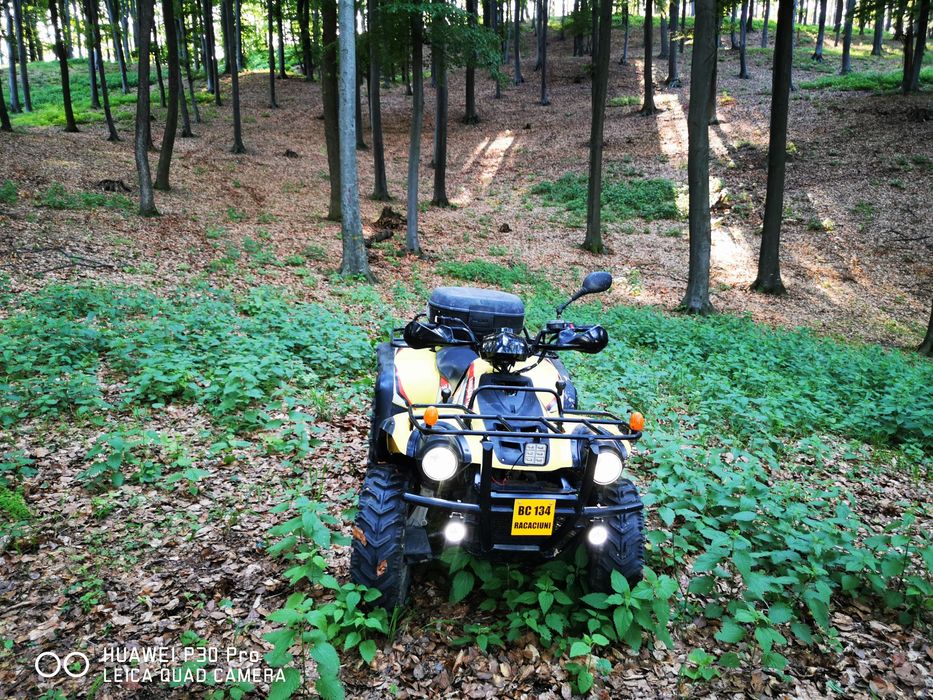 ATV Linhai worker 300