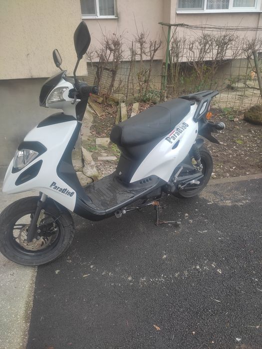 Generic Paradis de 49cm