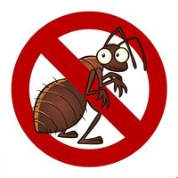 Уничтожение муравьев дезинсекция дезинфекция в костанае и области