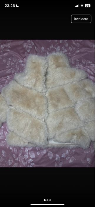 Blaniță damă crem