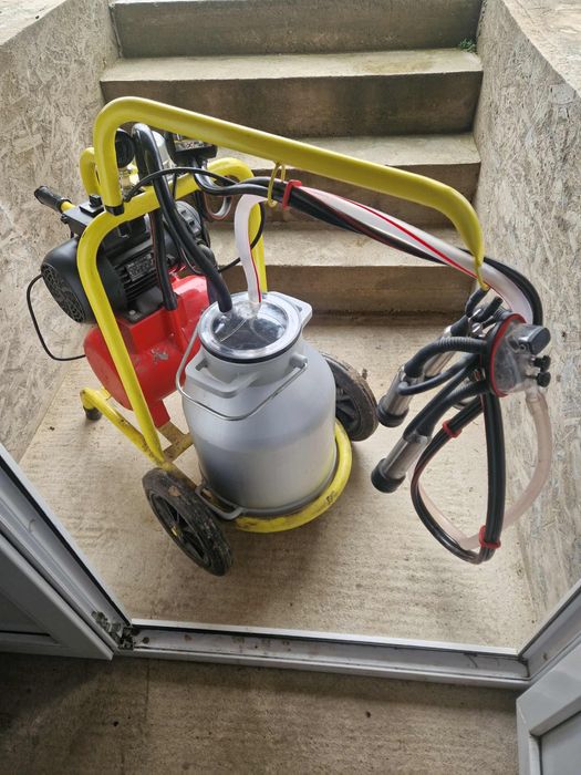 Mulgatoare automata vaci