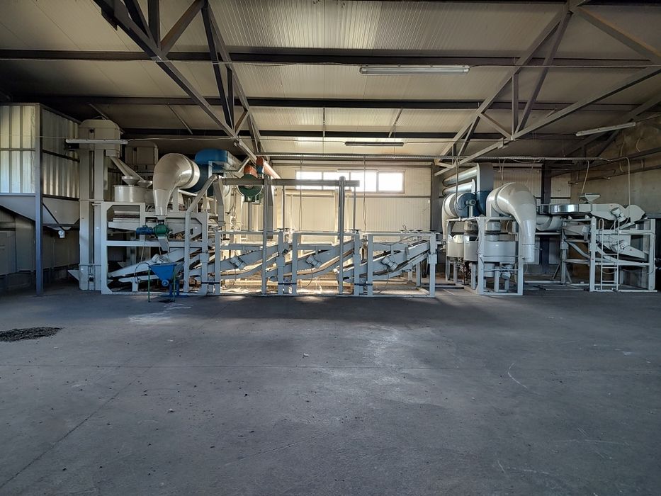 Линия за белене на слънчоглед