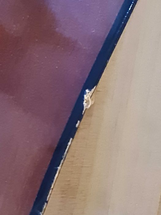 Акустична китара Yamaha