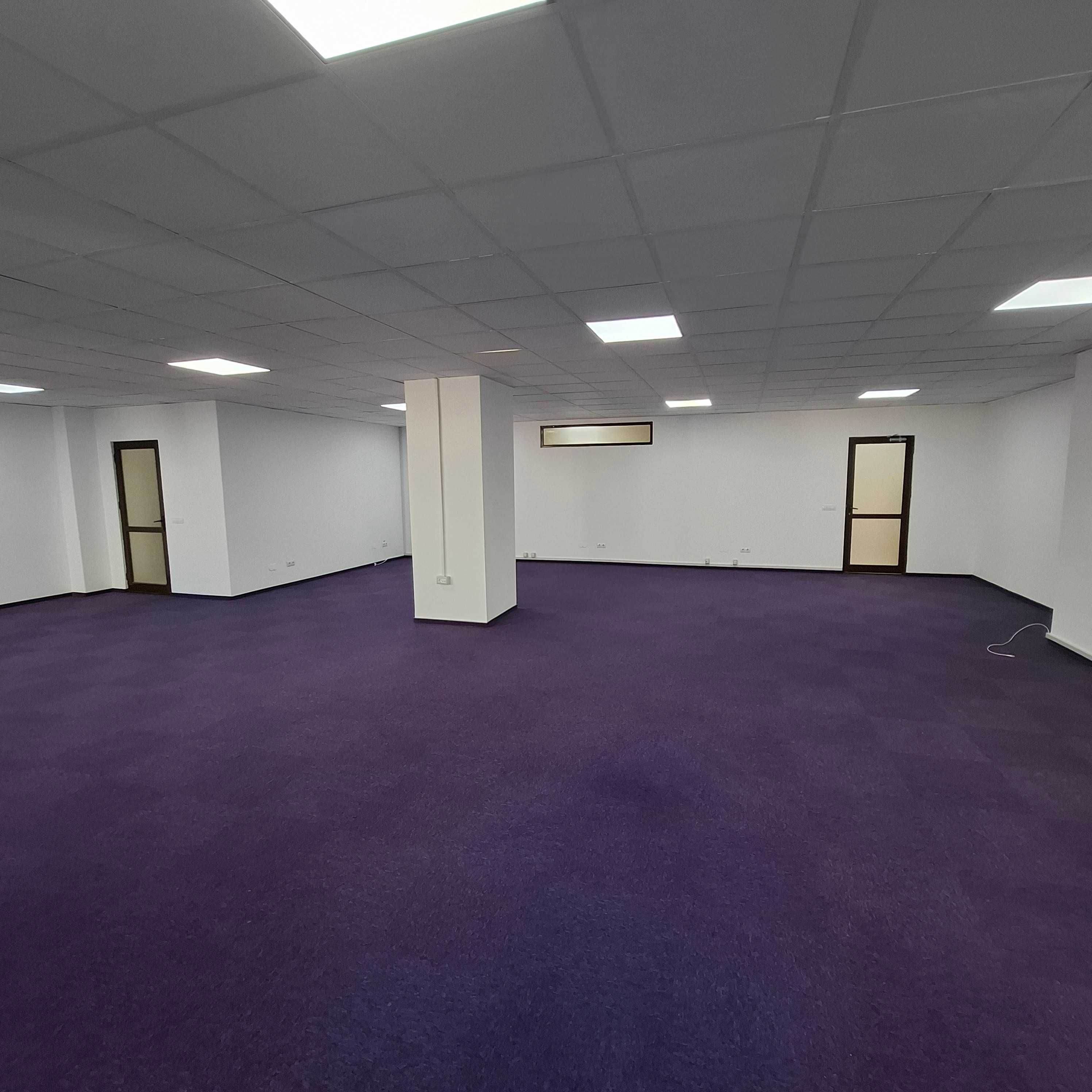 Spatii de birouri vis a vis de  Palas, 182 m2, parter