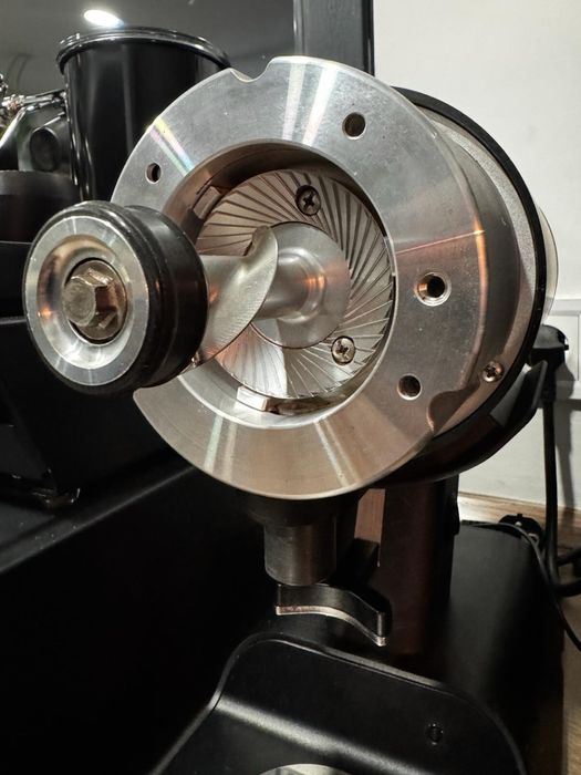 Rasnita Mazzer Philos