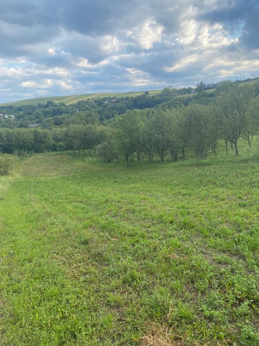 TEREN intravilan de vanzare 4500mp Sat.COMSESTI JUD.CLUJ