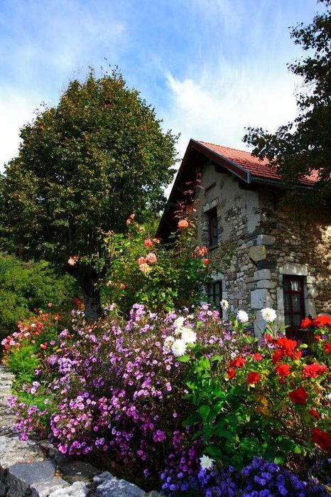 Plante in ghiveci Caprifoi Liliac Magnolie Trandafiri Albizia Navalnic