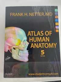 Netter atlas de anatomie- ediția a 5-a, in limba engleză