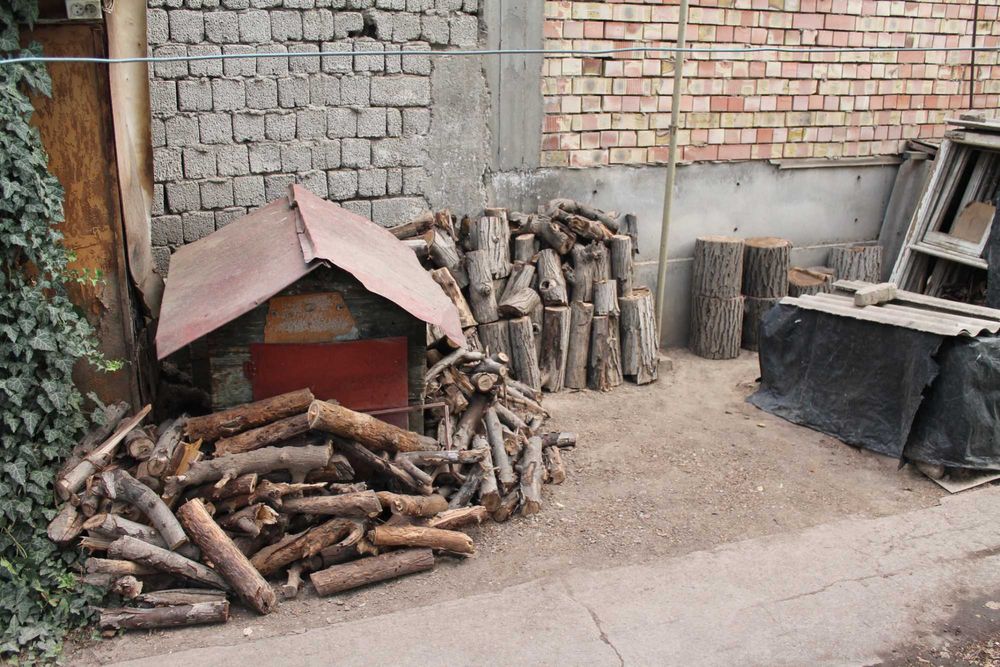 енгок ва тут дарахтларни кесилган танаси ва калин шохлари