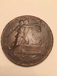 Medalie bronz SEBEȘ an 1896