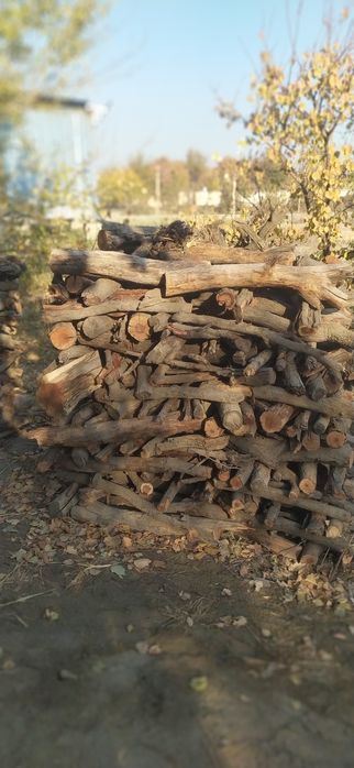 У́тинлар сотилади